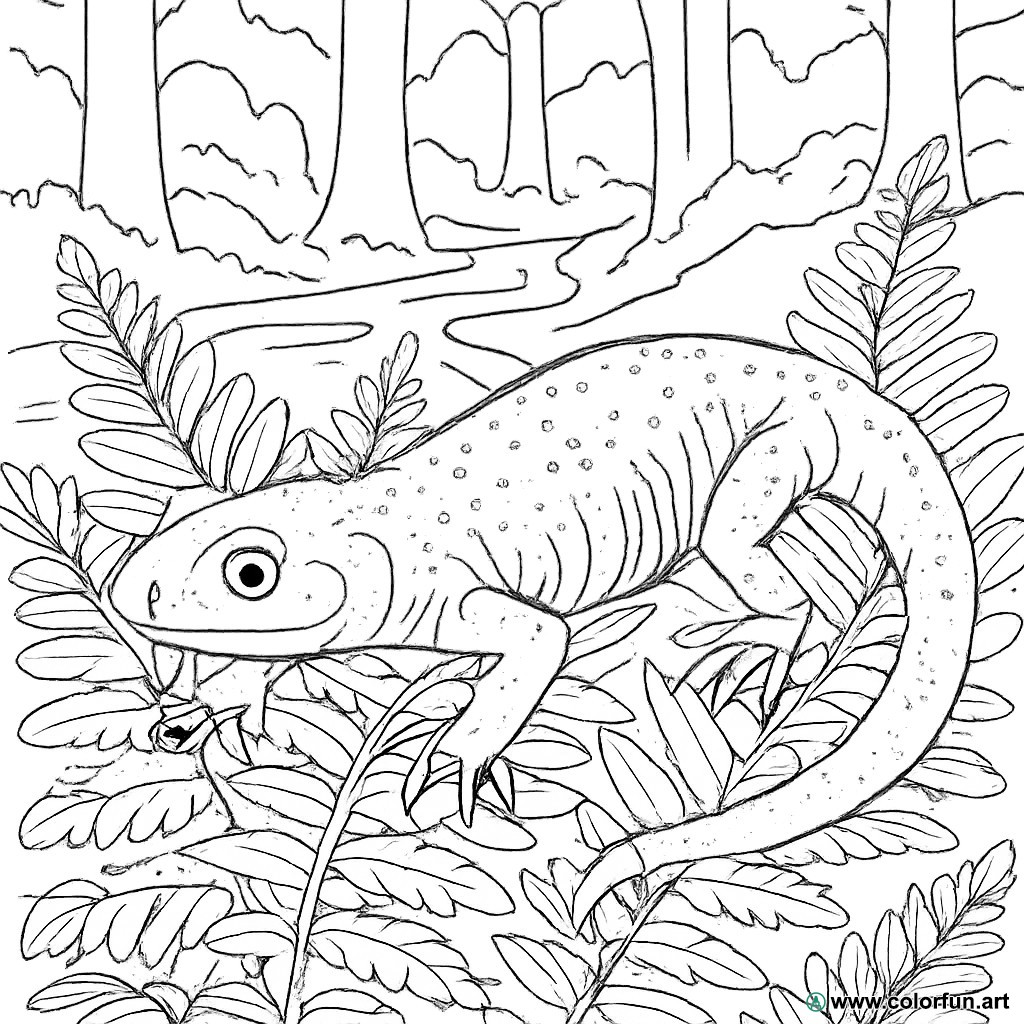kleurplaat realistische salamander