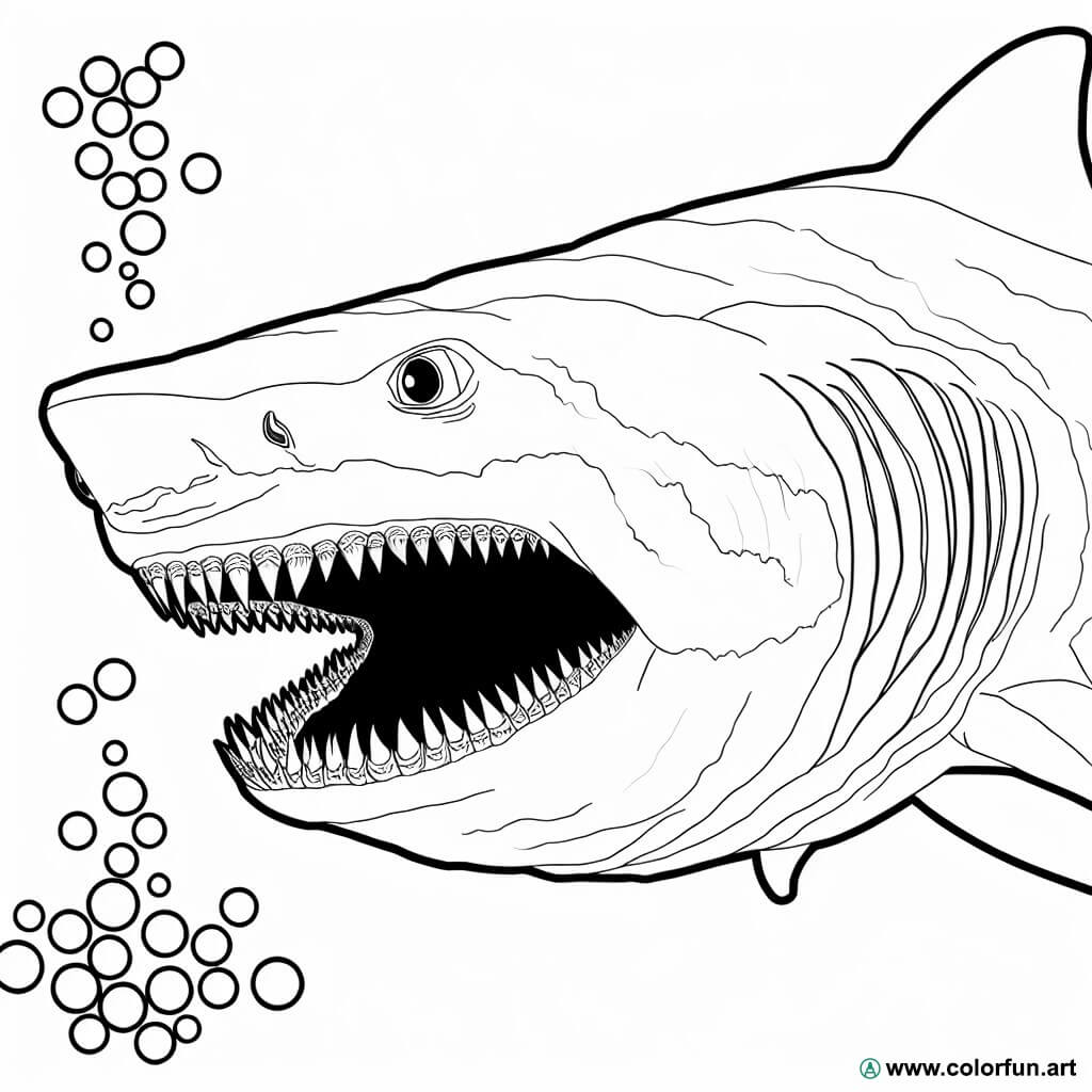 kleurplaat realistische megalodon haai