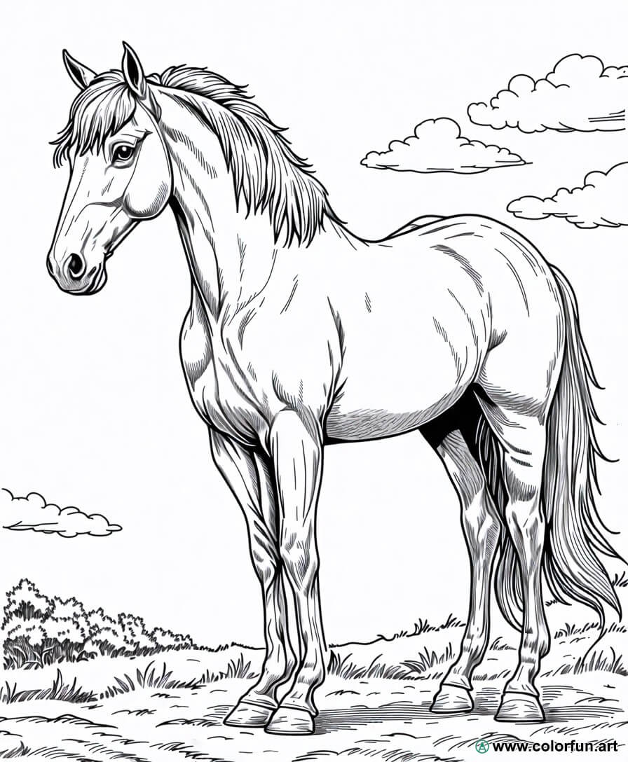 realistisch paard kleurplaat