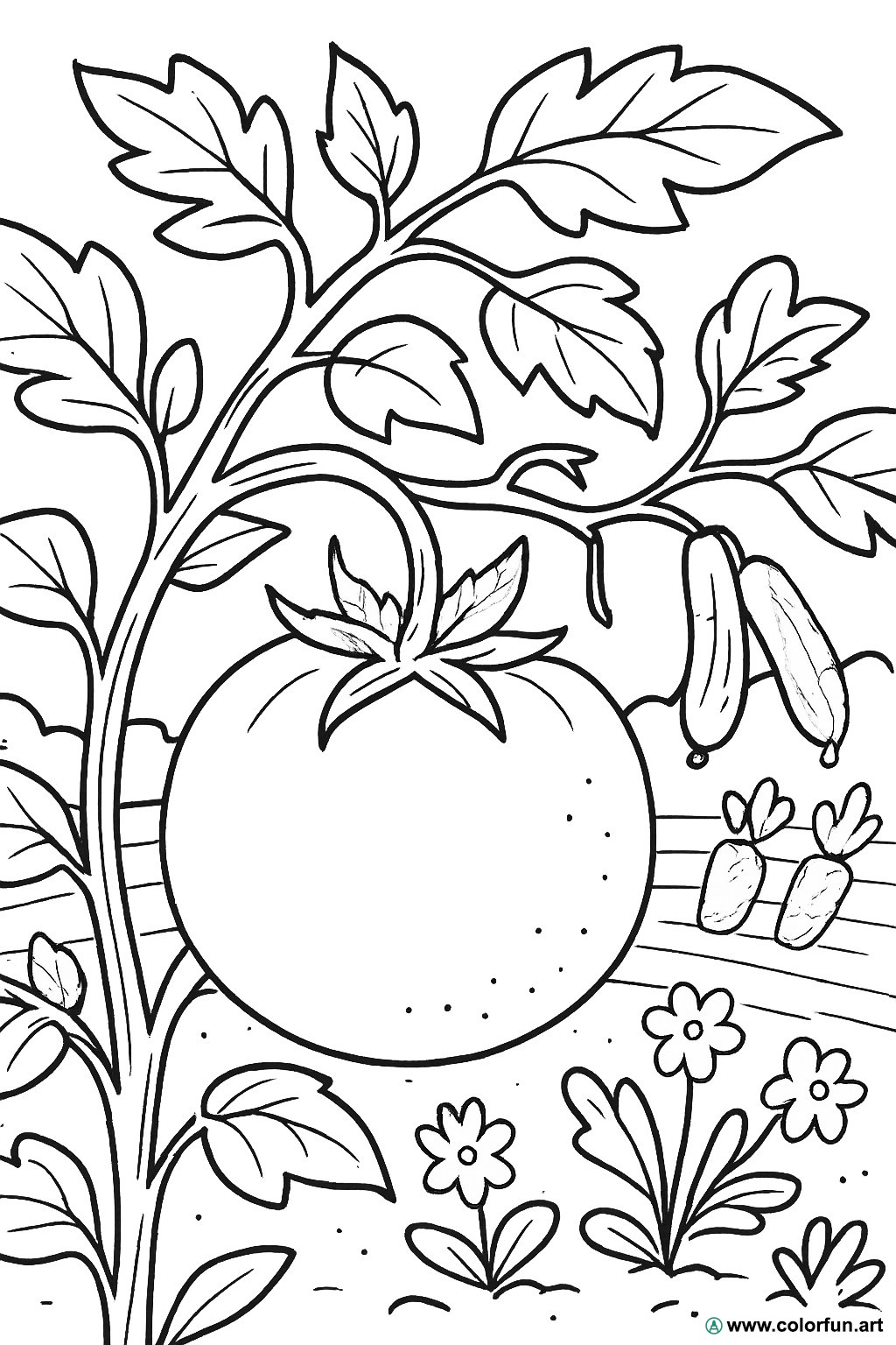 kleurplaat tomatenplantage